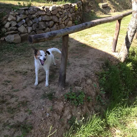 Al Casale Di Cozzile